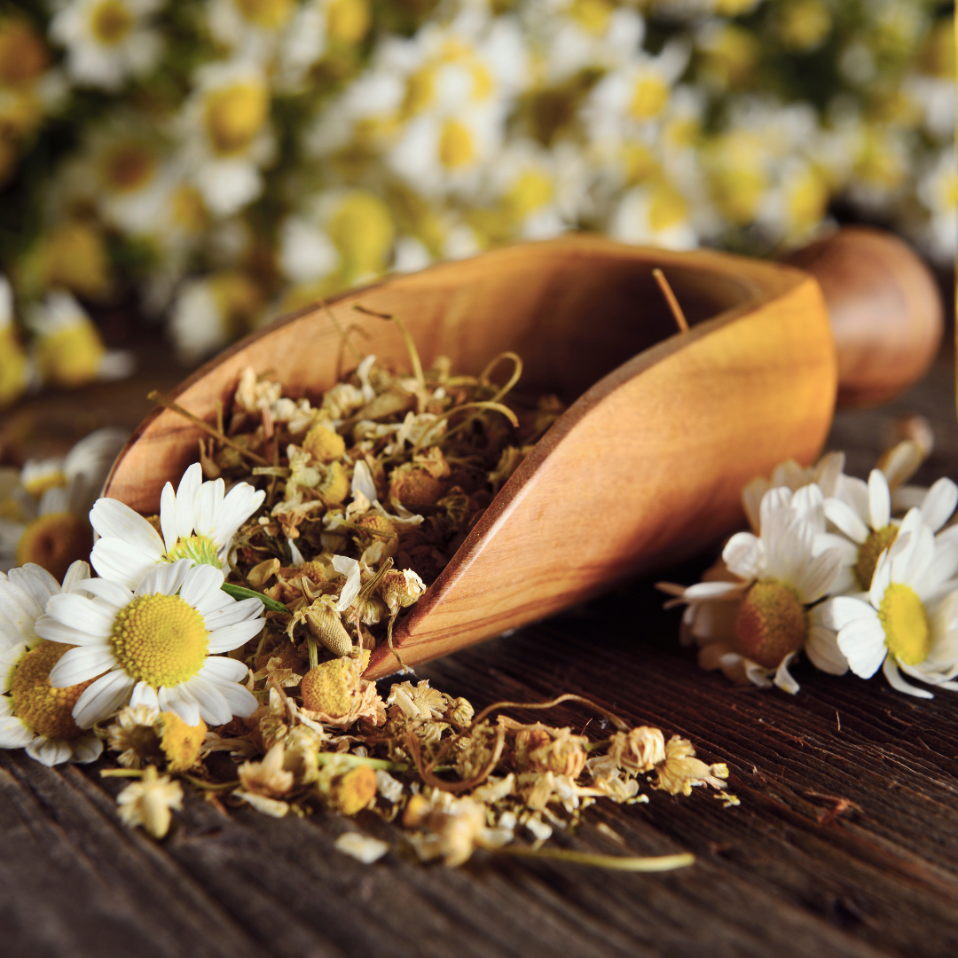 Chamomile Flowers